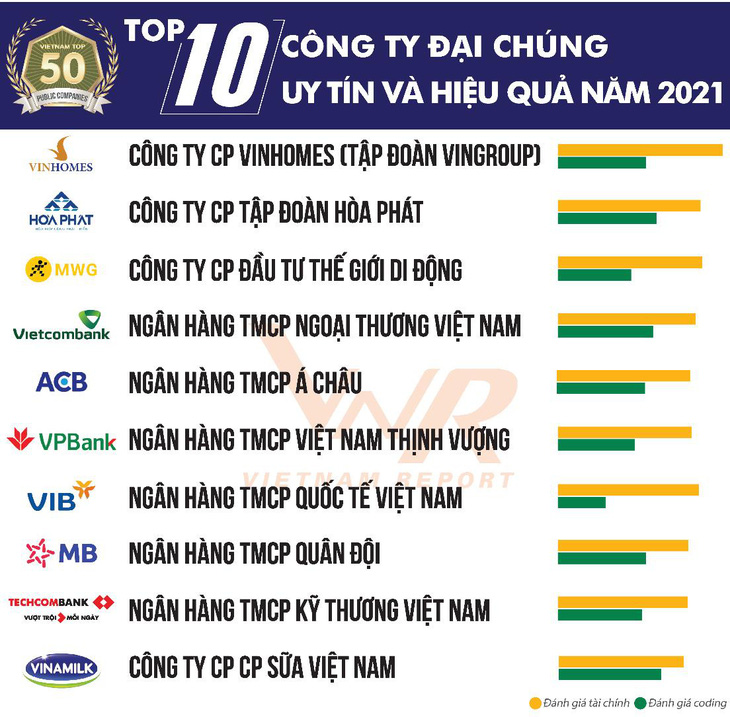 Top 10 công ty đại chúng uy tín và hiệu quả 2021 - Ảnh 1.