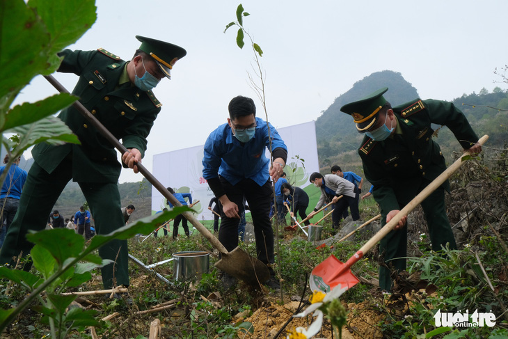 Sẽ trồng 20.000 cây xanh cho rừng đầu nguồn Quảng Nam, Quảng Ngãi - Ảnh 1.