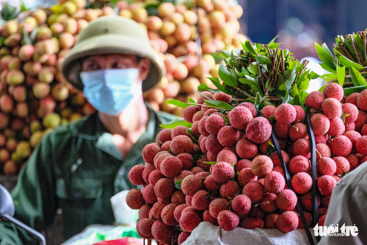 Vải thiều Việt Nam chất lượng vượt trội, ngon nhất ở thị trường Nhật Bản - Ảnh 1.