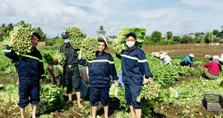 Những chuyến xe từ Tây Nguyên chở rau củ, gửi yêu thương về Sài Gòn - Ảnh 6.