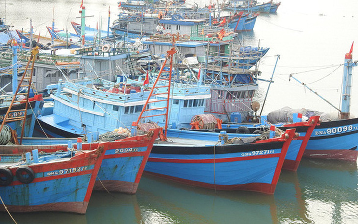 Phó thủ tướng: Tuyệt đối không khai thác hải sản trái phép để bị áp 