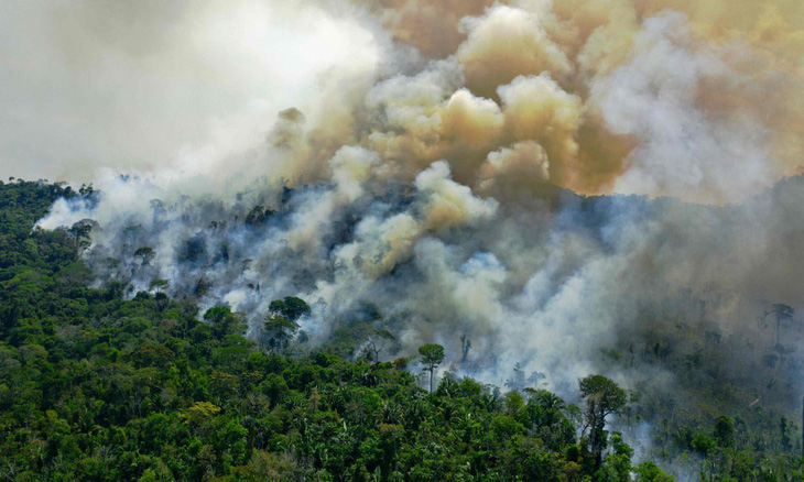 Các nhà khoa học lần đầu xác nhận: Rừng Amazon thải carbon nhiều hơn mức hấp thu - Ảnh 1.