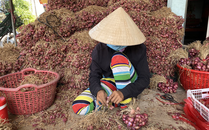 Phụ hồ, xe ôm, người giúp việc, lượm ve chai… ở Sóc Trăng được hỗ trợ 1,5 triệu đồng