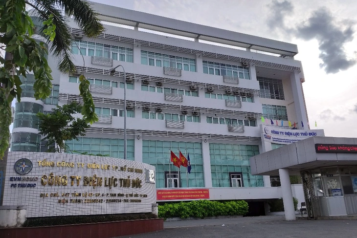 Thành lập Công ty điện lực Thành phố Thủ Đức - Ảnh 1.