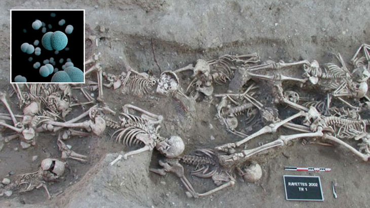 Tìm thấy chủng vi khuẩn 5.000 tuổi gây Cái chết đen tại châu Âu - Ảnh 1.