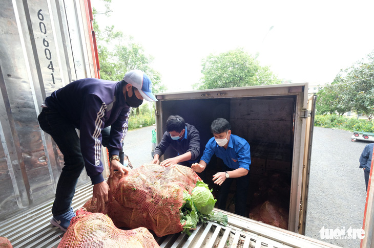 Thanh niên Lâm Đồng gửi 115 tấn rau đến vùng dịch - Ảnh 1.
