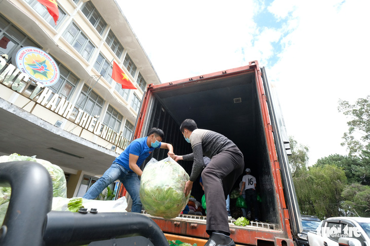 Thanh niên Lâm Đồng gửi 115 tấn rau đến vùng dịch - Ảnh 2.