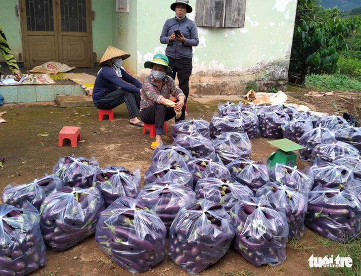 Thanh niên Lâm Đồng gửi 115 tấn rau đến vùng dịch - Ảnh 3.