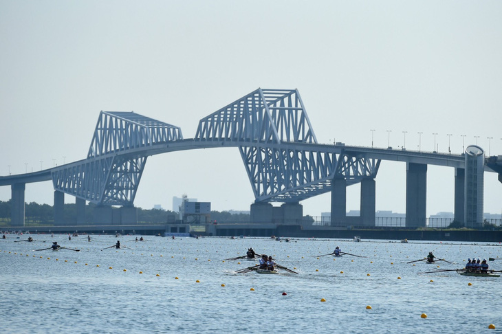 Hàu biển đe dọa điểm thi đấu quan trọng của Olympic Tokyo - Ảnh 1.