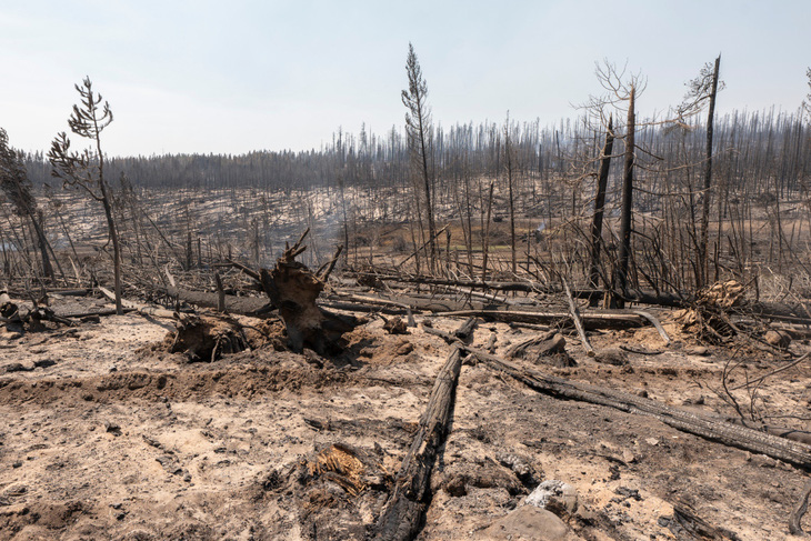 Những hình ảnh cháy rừng thiêu đốt miền tây nước Mỹ - Ảnh 9.
