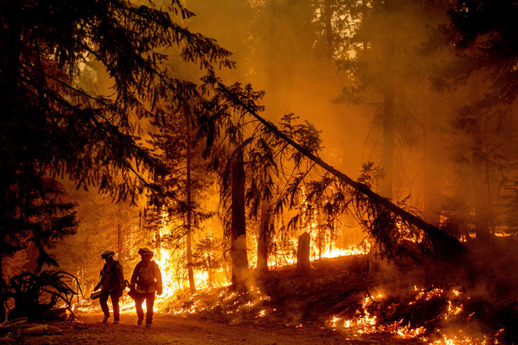 Những hình ảnh cháy rừng thiêu đốt miền tây nước Mỹ - Ảnh 6.