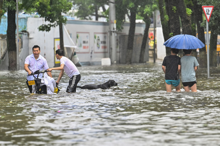 Bão In-Fa ập vào Trung Quốc: Cây bật gốc, phố xá ngập nước, dự báo đổ bộ lần 2 - Ảnh 1.