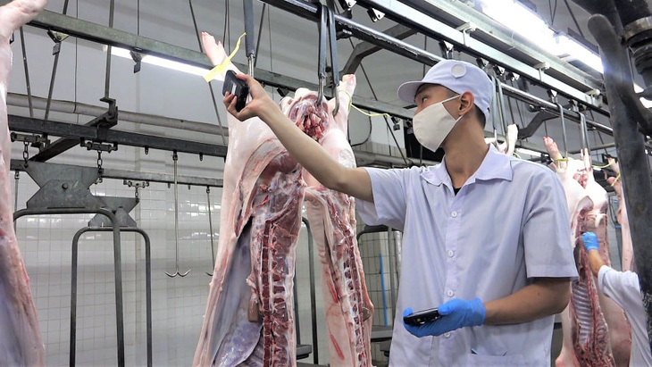 Sẽ có kịch bản cung ứng thịt cho TP.HCM khi Vissan dừng sản xuất - Ảnh 1.