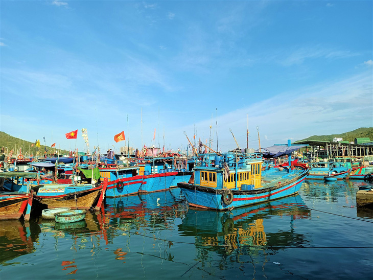 Từ 15-9, mở lại cảng Hòn Rớ, cảng cá lớn nhất Nam Trung Bộ - Ảnh 2.