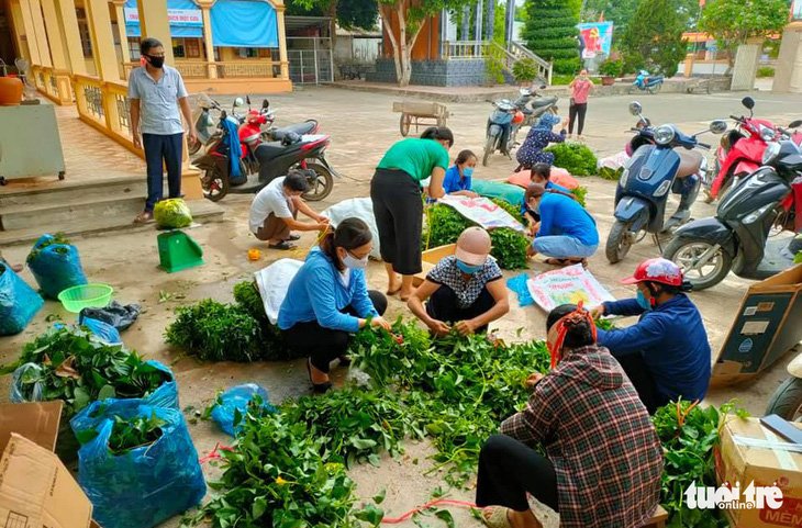 Gom rau từ vườn nhà góp từng xe gửi vùng cách ly - Ảnh 1.