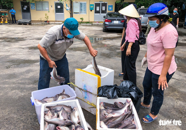 ‘Ăn cá ba sa, Sài Gòn mau hết dịch nha!’ - Ảnh 5.