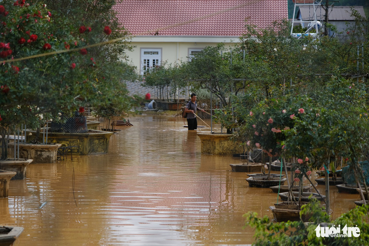 Nước lũ dâng trên sông Cam Ly, vườn nhà dân Lâm Đồng bị ngập - Ảnh 4.