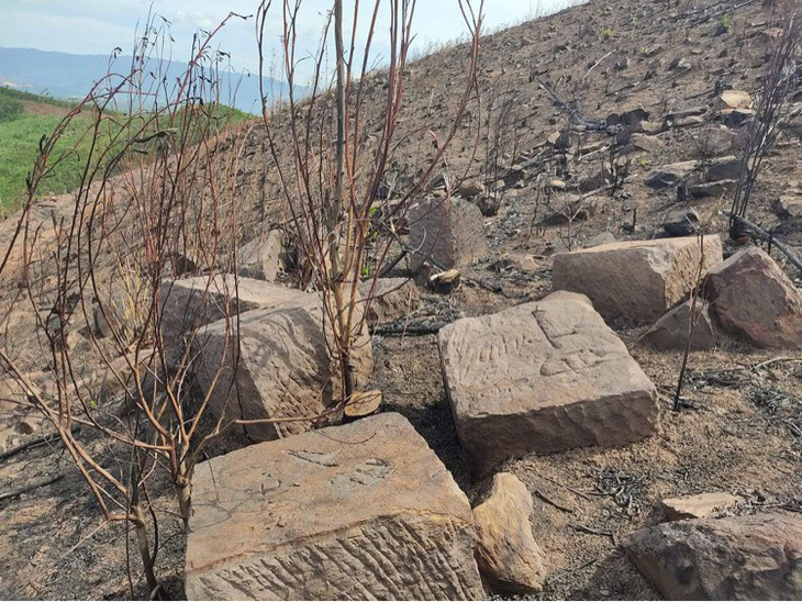 Bảo tồn bãi đá khắc nhiều ký tự gần dinh Bà Thu Bồn - Ảnh 1.