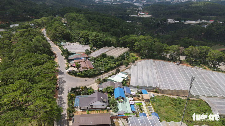 Lâm Đồng tháo dỡ 220ha nhà kính, nhà lưới lấn rừng, hoàn thành trong tháng 9-2021 - Ảnh 2.