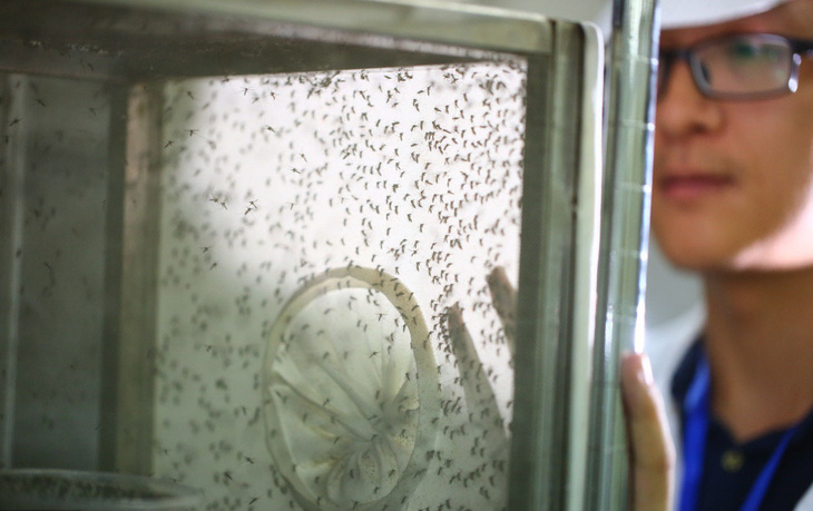 Trung Quốc dùng công nghệ hạt nhân để diệt muỗi - Ảnh 1.