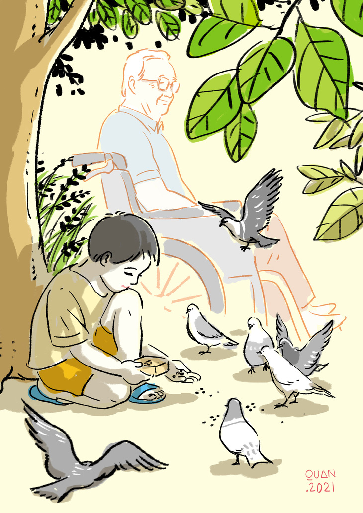 Truyện ngắn: Bầy chim câu trong hẻm nhỏ - Ảnh 1.