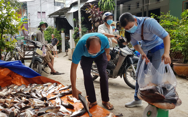 Một hộ dân bán rẻ cả hầm cá tra hơn 3 tấn cho 