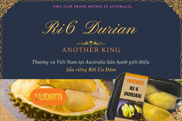 Sầu riêng Ri6 của Việt Nam chiếm lĩnh thị trường Úc - Ảnh 1.