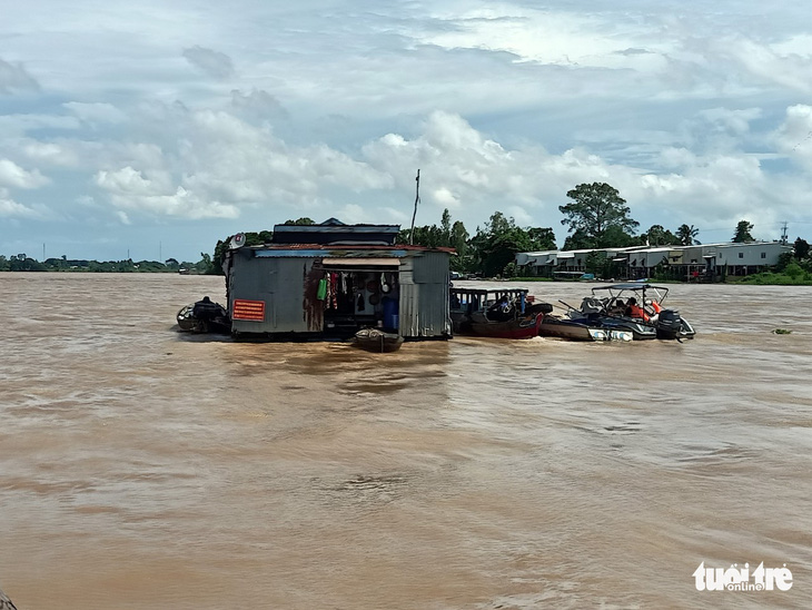 Di dời 108 bè cá trên sông Hậu đi xa 10km để giãn cách, ngăn dịch - Ảnh 1.