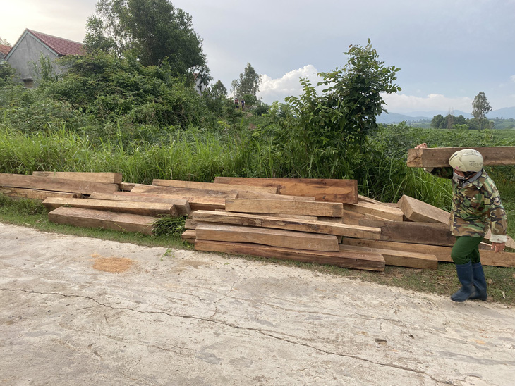 5,45m3 gỗ hộp giấu trong nhà, vườn của nhân viên bảo vệ rừng - Ảnh 1.