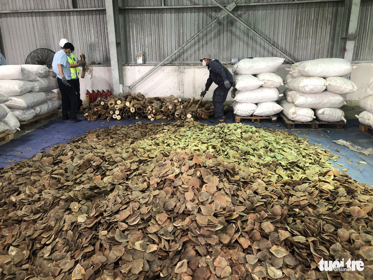 Bắt giữ hơn 6 tấn ngà voi và vảy tê tê nhập lậu trong container - Ảnh 1.