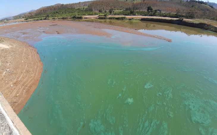 Sở Tài nguyên - môi trường Kon Tum: Nước đổi màu, bốc mùi ở hồ thủy điện Yaly là 