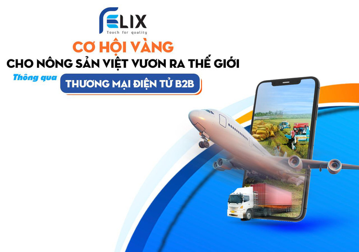 Cơ hội nào cho thương mại điện tử B2B Việt Nam vươn tầm quốc tế? - Ảnh 3.