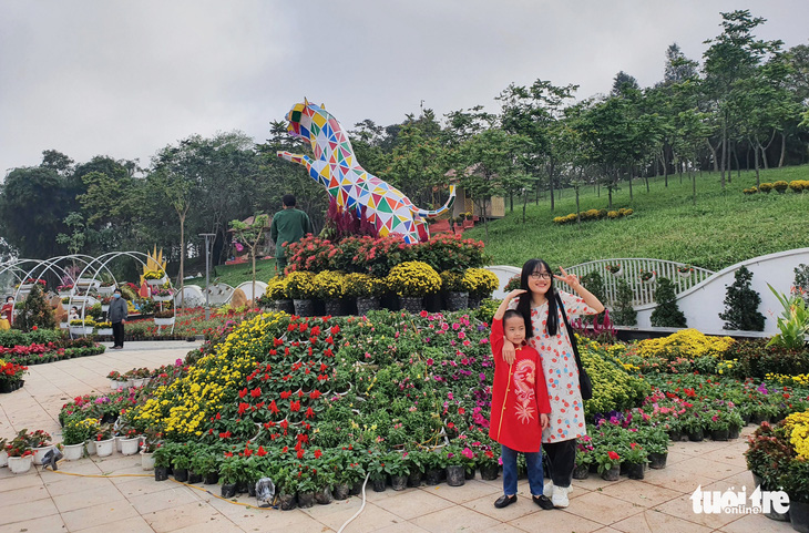 Linh vật hổ nhiều màu sắc ở Nghệ An bị thu hồi - Ảnh 1.