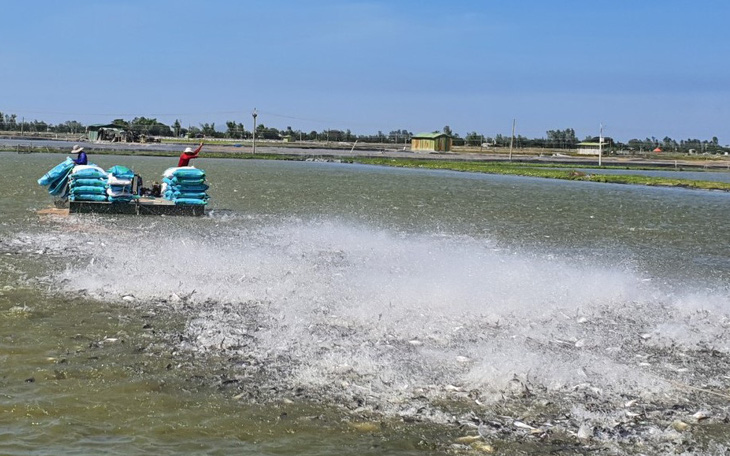 Nông sản kỳ vọng 