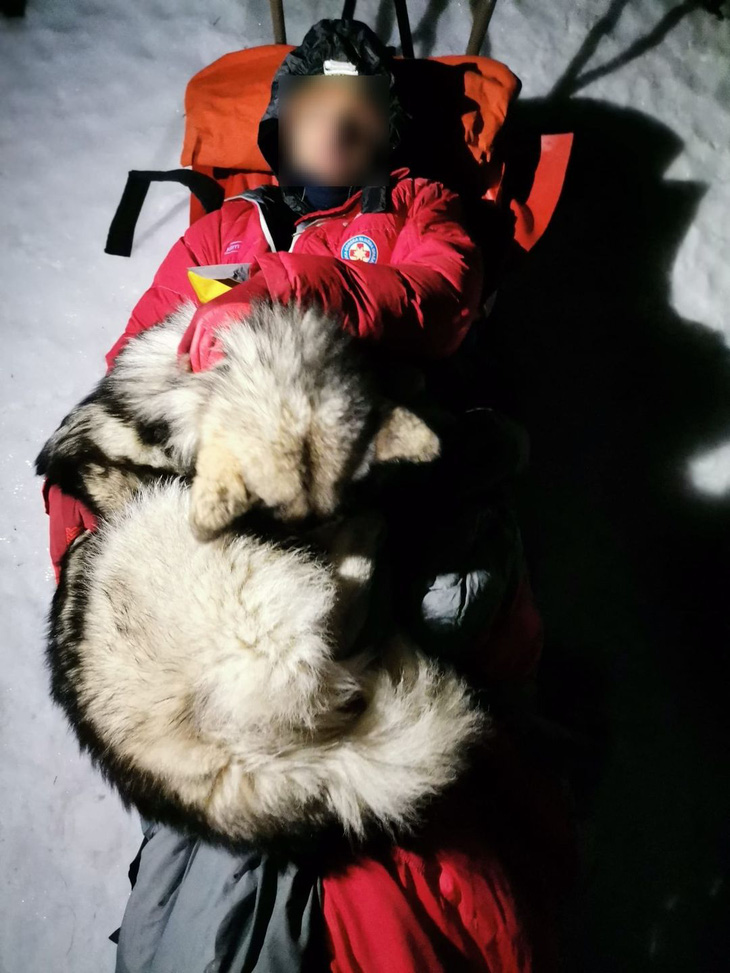 Gặp người lạ bị thương trên núi lạnh, chú chó nằm ủ ấm suốt 13 tiếng - Ảnh 1.