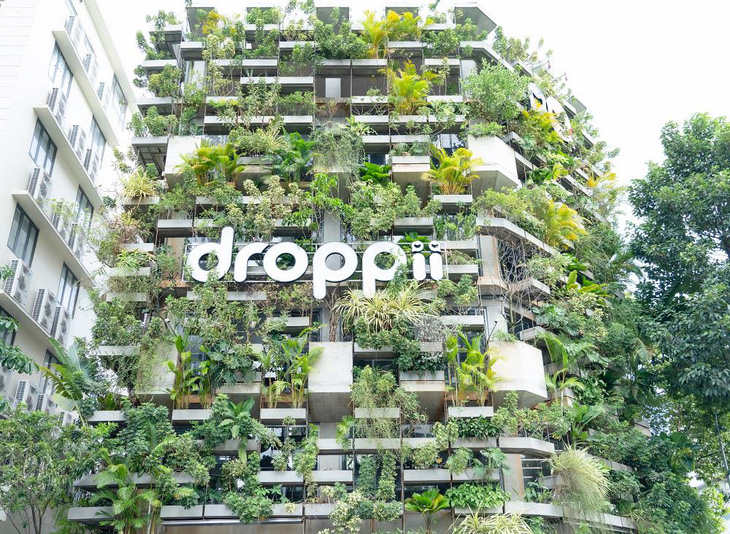 Droppii ra mắt văn phòng xanh Droppii Growth Hub - Ảnh 1.