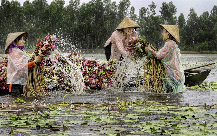Phụ nữ Việt Nam chỉ đẹp trong lao động?