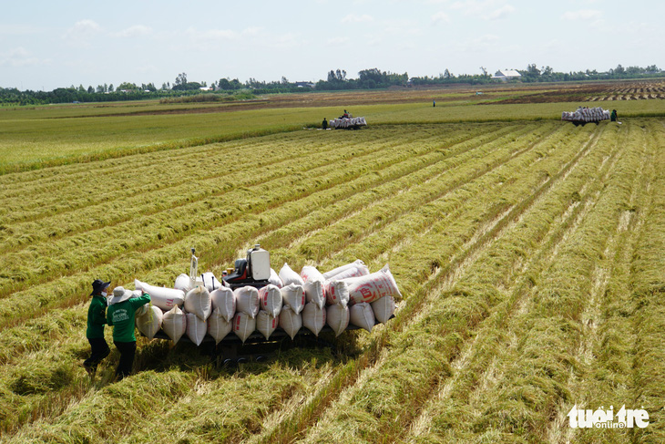 Khởi động dự án chuỗi giá trị lúa gạo hơn 5 triệu AUD tại ĐBSCL - Ảnh 2.