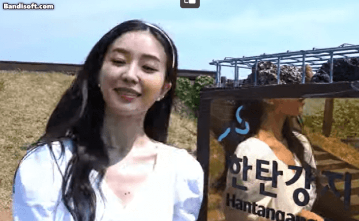 Mẫu ảo quảng bá du lịch Hàn bị tẩy chay vì ‘sao chép’ nét đẹp của Irene (Red Velvet) - Ảnh 2.