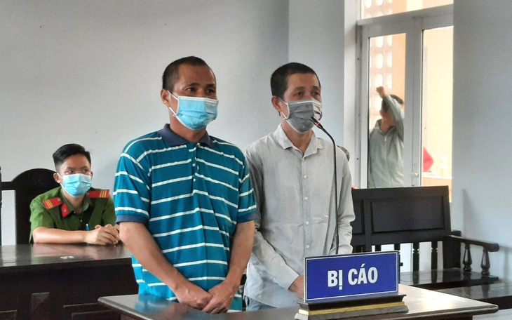Hai người lãnh 4 năm tù về tội phá rừng Phú Quốc