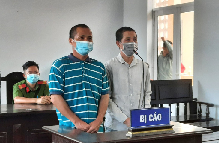 Hai người lãnh 4 năm tù về tội phá rừng Phú Quốc - Ảnh 1.