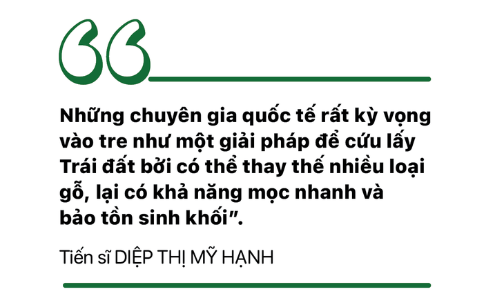 Giữ nguồn gene cho mai sau - Ảnh 17.