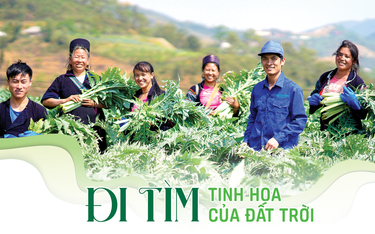 Đi tìm tinh hoa của đất trời