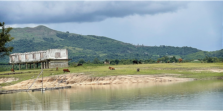Đắk Lắk nói khó xử lý trang trại của nguyên bí thư tỉnh ủy giữa khu bảo tồn thiên nhiên - Ảnh 2.