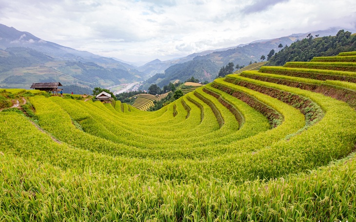 Đồi võng lúa, móng ngựa hút khách kìn kìn tới Mù Cang Chải