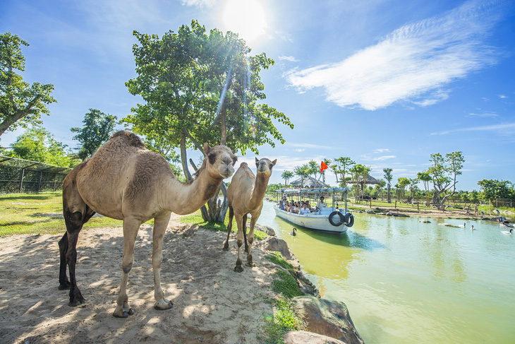 Bùng nổ chuỗi sự kiện đẳng cấp thế giới chào đón mùa lễ hội lớn nhất trong năm - Ảnh 4.