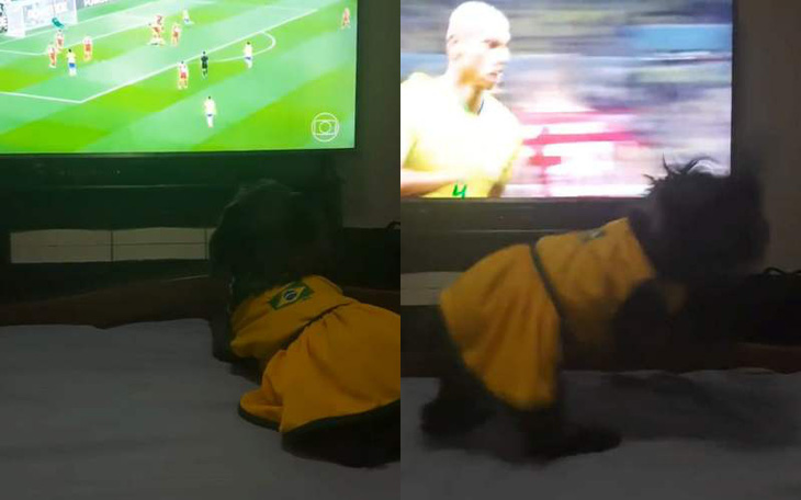 Chú chó nhảy nhót như đứa trẻ ăn mừng cầu thủ Brazil ghi bàn