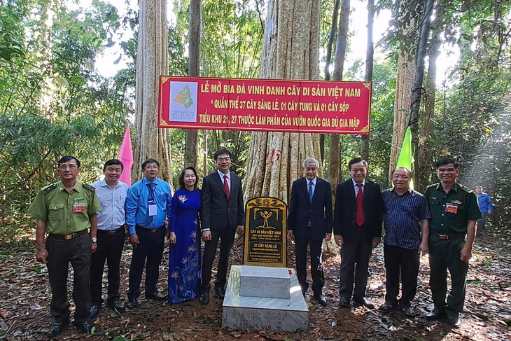 Vườn quốc gia Bù Gia Mập có 39 cây cổ thụ được công nhận Cây di sản Việt Nam - Ảnh 3.