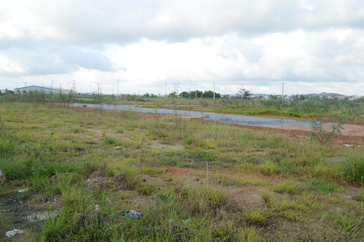 Chưa có đủ giấy phép, Đất Xanh Quảng Ngãi vẫn san lấp ruộng lúa làm dự án bất động sản - Ảnh 2.