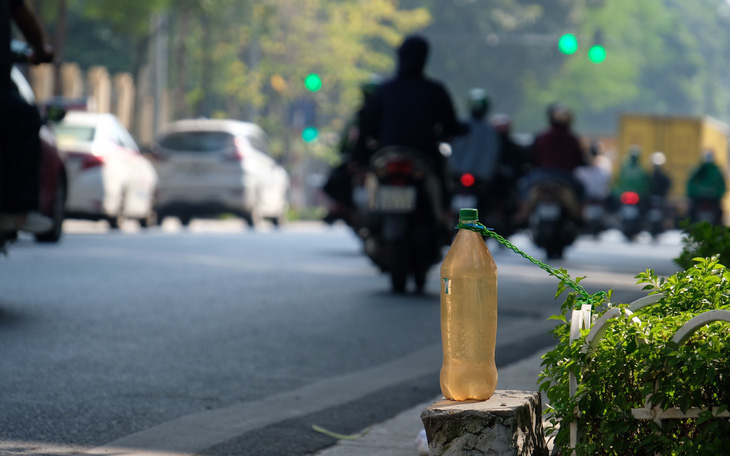 1,7km mọc gần 20 